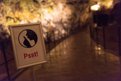 Obiskovalce Postojnske jame prosijo da gredo mimo akvarija čim tišje (foto: Iztok Medja za Postojnsko jamo).