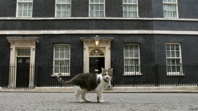 Maček Larry ostaja na Downing Streetu 3