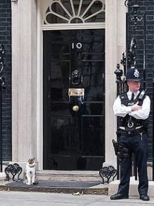 Maček Larry ostaja na Downing Streetu 4