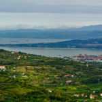 LUKA KOPER PANORAMA POKRAJINA HRIBCKI VINOGRADI DIVJINA VINOGRADI OLJKE MAJHNE VASICE GRMICEVJE