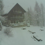 FOTO: V gorah že prava zimska idila, v nižinah pa tudi snežni metež 2