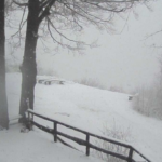 FOTO: V gorah že prava zimska idila, v nižinah pa tudi snežni metež 4