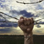 iStock_000052703562_Medium