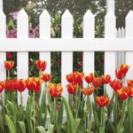 iStock_000056677290_Medium
