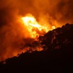 Božični požari v Avstraliji uničili več kot 100 hiš 1