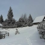 [Foto] Čarobna Slovenija pod snežno odejo 6