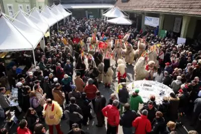 Foto: arhiv Zveza Lions klubov Slovenija