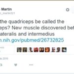 Neverjetno: Znanstveniki odkrili novo mišico v človeškem telesu 1