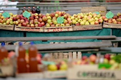 Jabolka iz tržnice (foto: STA)