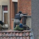 Nevarnost v Bruslju ostaja: Enega islamista prejeli, dva sta še na begu 2