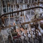 Černobil trideset let kasneje 3