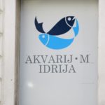 [FOTO] Največji akvarij v Sloveniji, ki bo zaradi političnih igric dokončno potonil 2