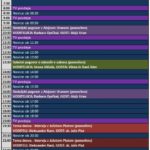 TV SPORED (ponedeljek, 8.8.2016) 1