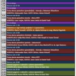 TV SPORED (sobota, 6.8.2016) 1