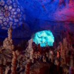 10-jaslice-v-postojnski-jami_iztok-medja__011