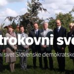 Strokovni svet SDS