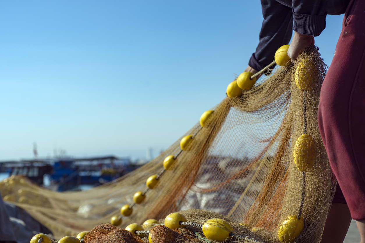 Slovenski ribiči plačujejo velikanske finančne globe zaradi katastrofalne vladne politike Marjana Šarca. (Foto: iStock)