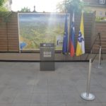 svetina