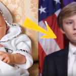 barron trump
