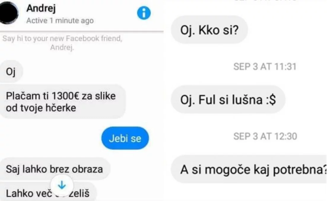 Sporno besedilo osebe Andrej, ki ponuja 1300 evrov za slikanje 17 mesečnega dekletca. (Foto: Sobotainfo)