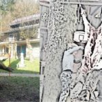 divji-prašič