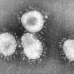 Koronavirus (Foto: epa)