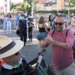 harmonika
