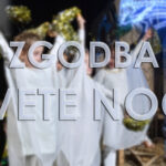 Zgodba svete noči