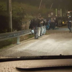 migranti