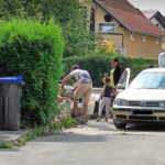 kradljivci