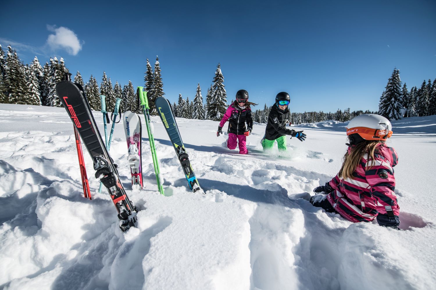 elan smuči | Nova24TV