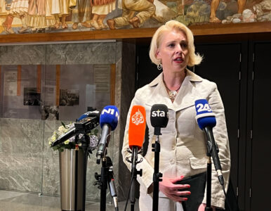 Pravnik Fink: Vladna stran je zašla v zagato