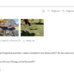 Novinarsko vprašanje, Sikalu ZOO, mučenje živali