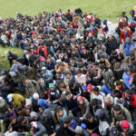 migranti