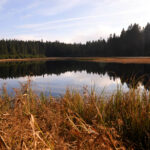 NARAVA jezero jesen