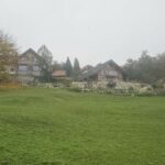 Sajevčevi sodobno opremljeni hiši