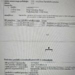 Sajovic je nepremičnine formalno prepisal tudi na hčer