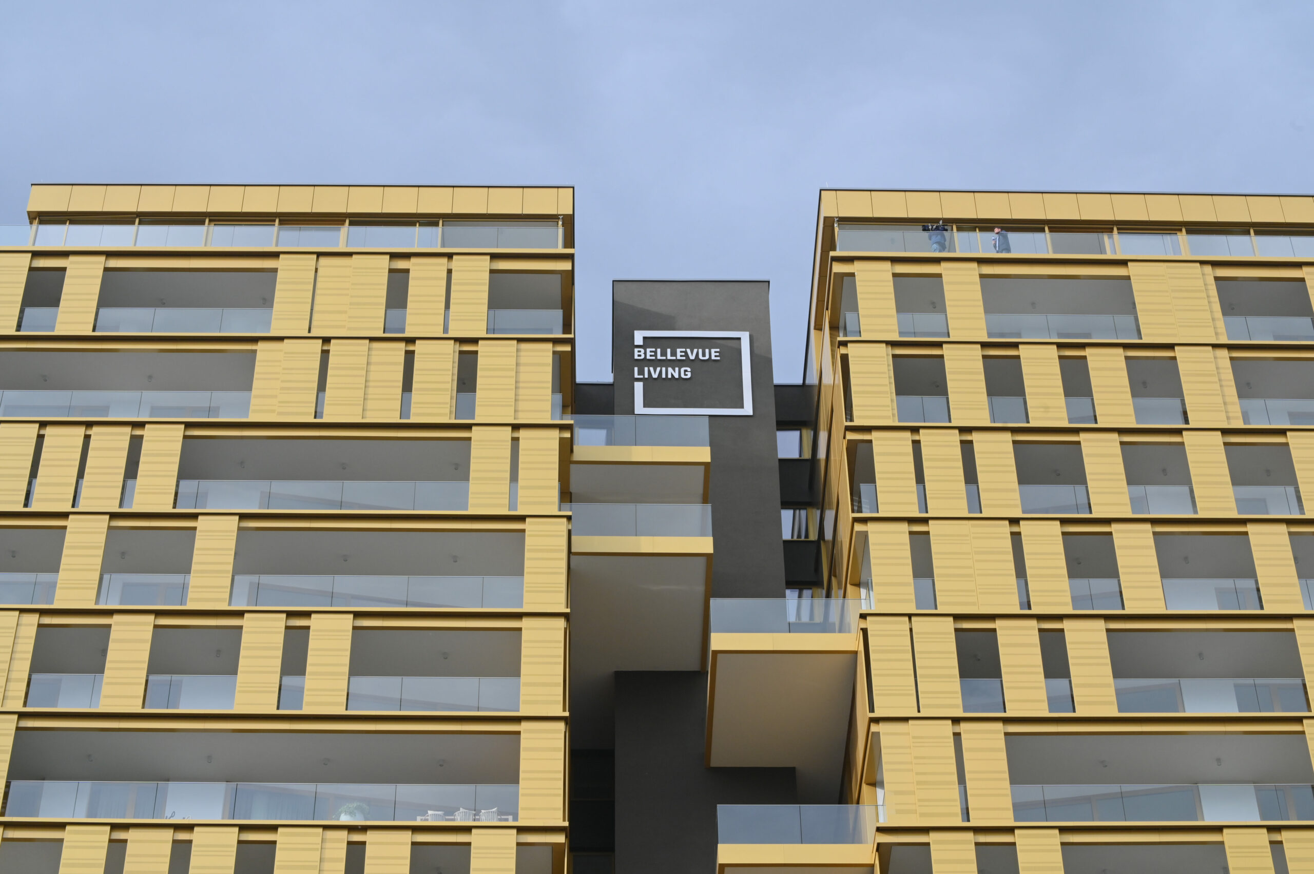 Janković je nadlastnik Svobode in če kdo želi svojo vlado v Sloveniji, je to balkanski kapital