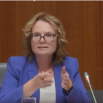 Posnetek zaslona 2024-12-05 092342