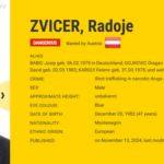 e88abd8324328384ea50-radoje-zvicer-kavaski-klan