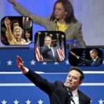 heil