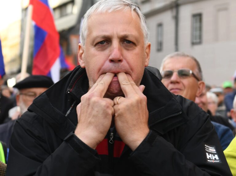 Primc: “Tujke so rodile rekordno število dojenčkov, potrebujemo demografski preporod!”