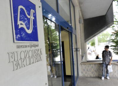 Lumpenintelektualci: dvorni norčki moderne družbe