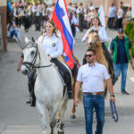 pgd šentvid pri stični