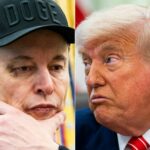 AFP__20250605__49E96WD__v1__HighRes__ComboUsPoliticsMuskTrump
