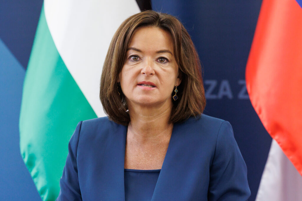 Si je Tanja Fajon z davkoplačevalskim denarjem kupovala prestižno mednarodno službo?