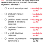 anketa