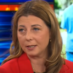 Poslanka SDS Karmen Furman