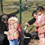 DOG20170217Zzz-zzzkkj4219