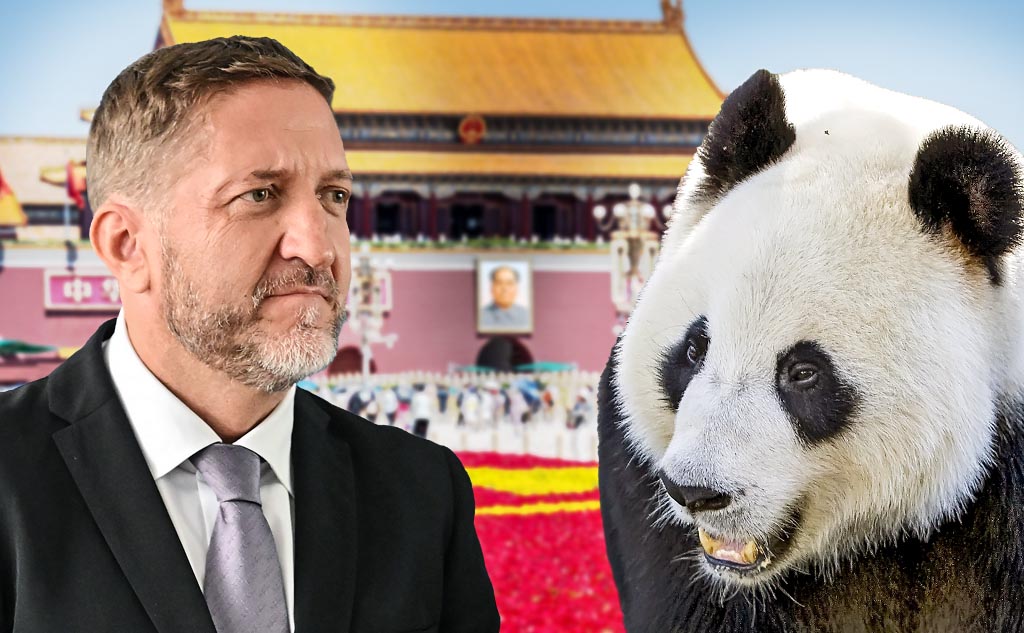 Samurajske obveznice za krpanje socialne države